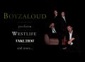 Boyzaloud